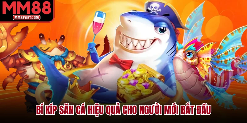 Bí kíp săn cá hiệu quả cho người mới bắt đầu