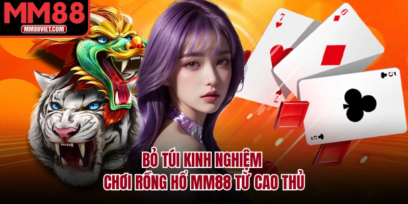 Bỏ túi kinh nghiệm chơi rồng hổ MM88 từ cao thủ