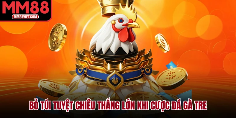 Bỏ túi tuyệt chiêu thắng lớn khi cược đá gà tre