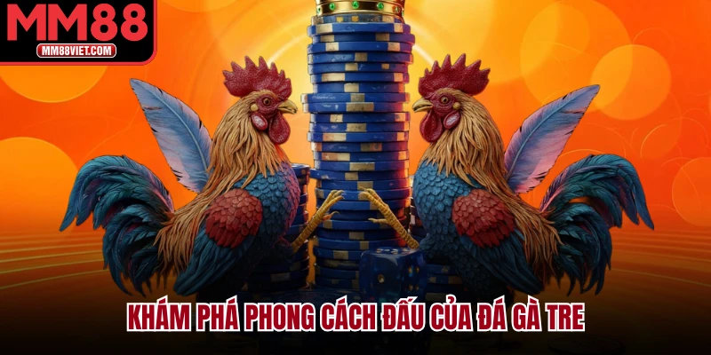 Khám phá phong cách đấu của đá gà tre