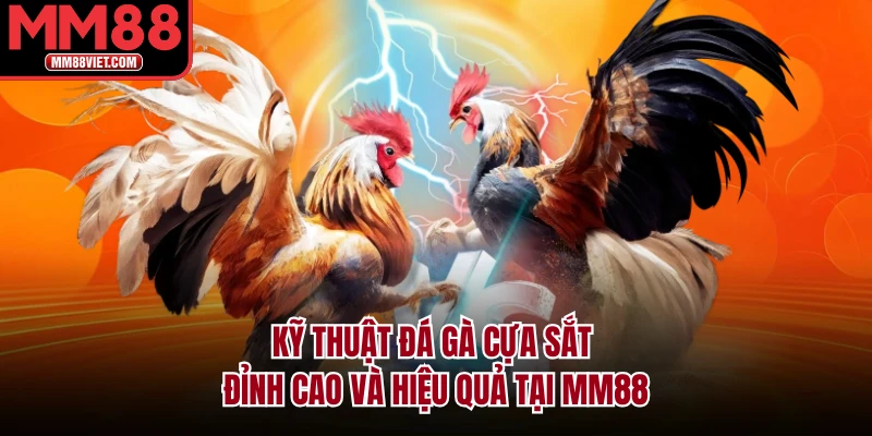 Kỹ Thuật Đá Gà Cựa Sắt Đỉnh Cao Và Hiệu Quả Tại MM88