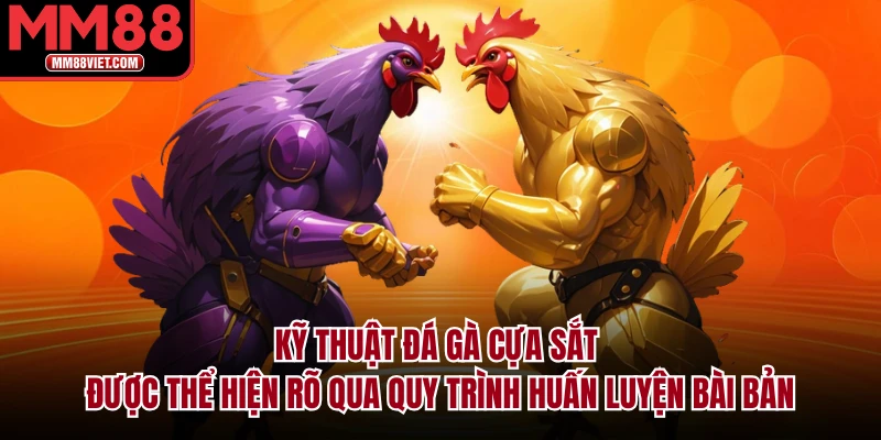 Kỹ thuật đá gà cựa sắt được thể hiện rõ qua quy trình huấn luyện bài bản