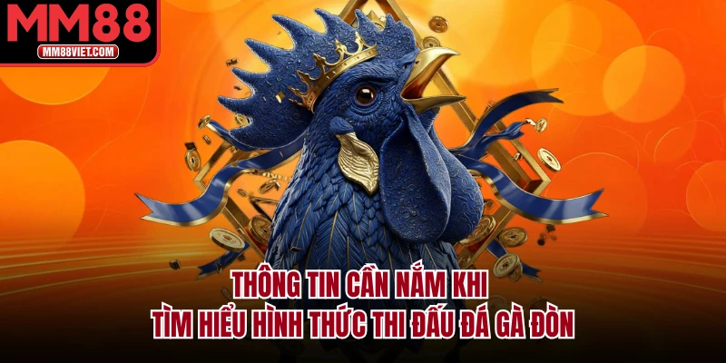 Thông tin cần nắm khi tìm hiểu hình thức thi đấu đá gà đòn