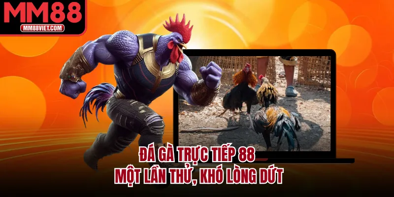 Đá Gà Trực Tiếp 88 Một Lần Thử, Khó Lòng Dứt