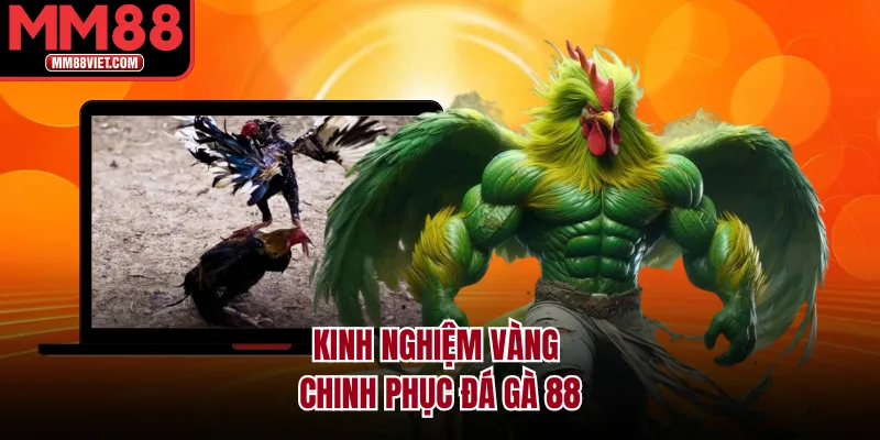 Kinh Nghiệm Vàng Chinh Phục Đá Gà 88