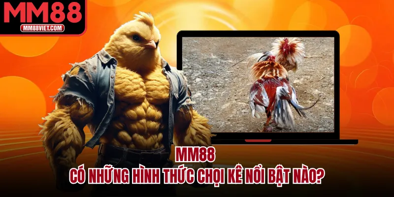 MM88 có những hình thức chọi kê nổi bật nào?